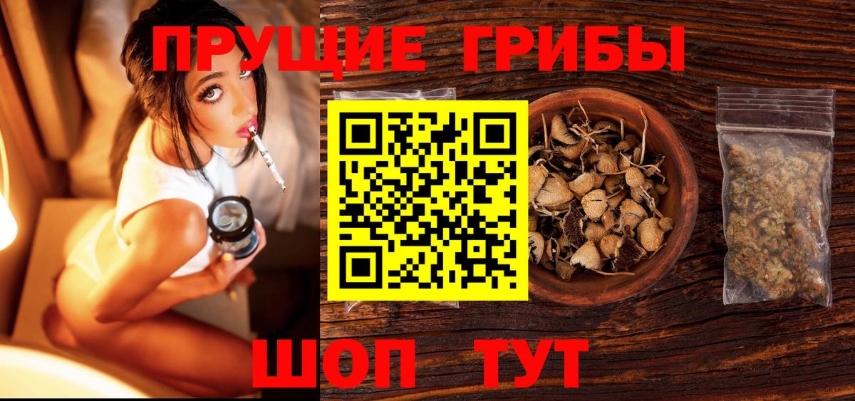 Псилоцибиновые грибы GOLDEN TEACHER Жуковский