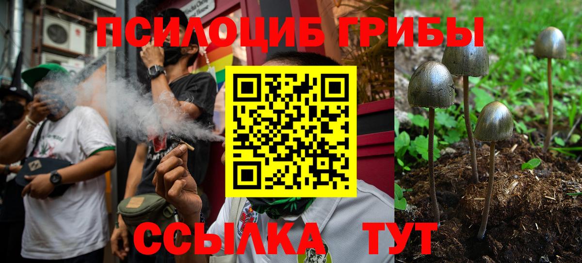 Псилоцибиновые грибы Magic Shrooms  Вход с VPN  Галлюциногенные грибы мицелий  Жуковский 